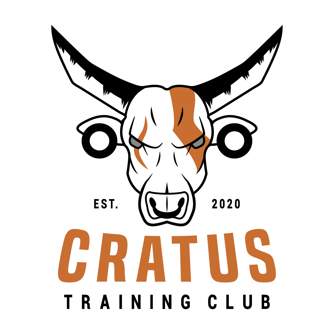 2Mesa de trabajo 29 copia 2@3x